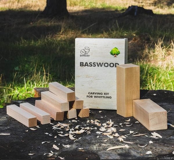 Medinių kaladėlių drožinėjimo projektams rinkinys