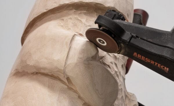 Elektrinis drožtuvas Arbortech Mini Carver - panaudojimo pavyzdys